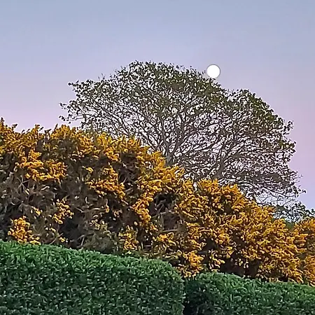 Campsite Foyle View Greencastle (Donegal)