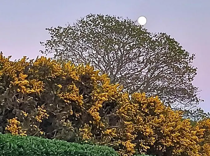 Camping Foyle View Greencastle (Donegal)